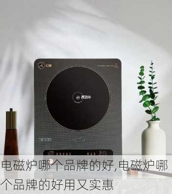 电磁炉哪个品牌的好,电磁炉哪个品牌的好用又实惠