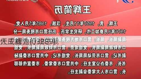 大成糖业(03889)
任王辉为行政总裁