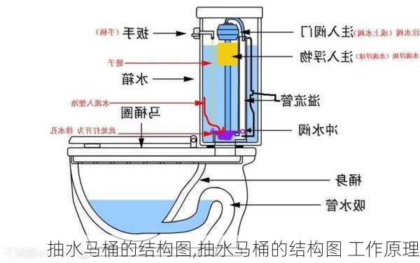 抽水马桶的结构图,抽水马桶的结构图 工作原理