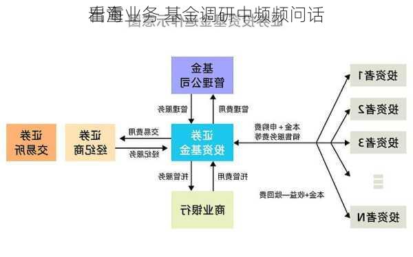 看重
出海业务 基金调研中频频问话