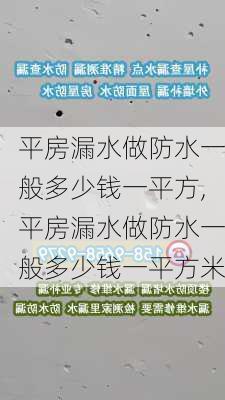 平房漏水做防水一般多少钱一平方,平房漏水做防水一般多少钱一平方米