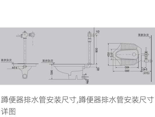 蹲便器排水管安装尺寸,蹲便器排水管安装尺寸详图