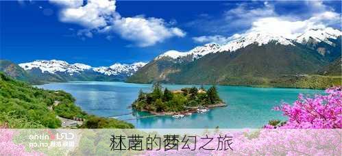 林芝：西
江南的梦幻之旅