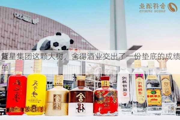 背
复星集团这颗大树，舍得酒业交出了一份垫底的成绩单