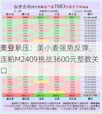 美豆1
美分承压：美小麦强势反弹，连粕M2409挑战3600元整数关口