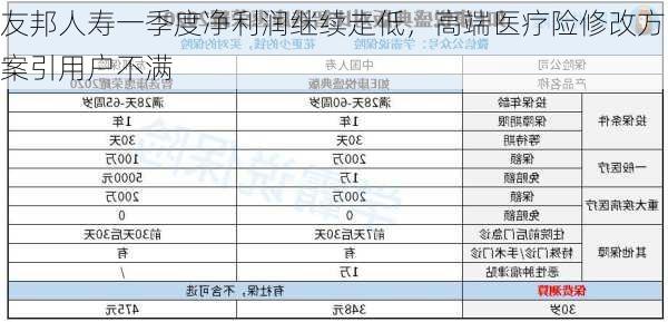 友邦人寿一季度净利润继续走低，高端医疗险修改方案引用户不满