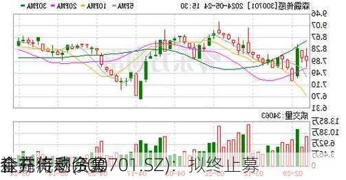 森霸传感(300701.SZ)：拟终止募
金并将剩余募
金
补充流动资金