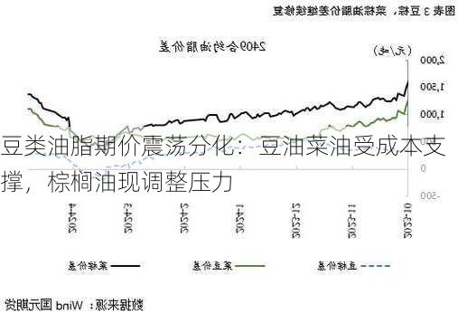 豆类油脂期价震荡分化：豆油菜油受成本支撑，棕榈油现调整压力