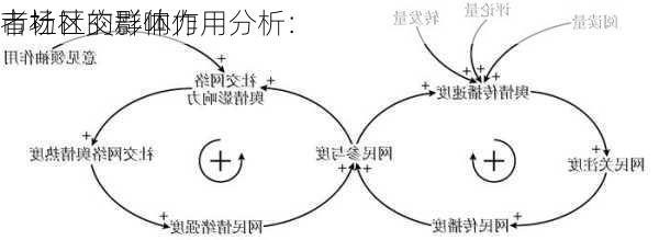 
市场社交群体作用分析：
者社区的影响力