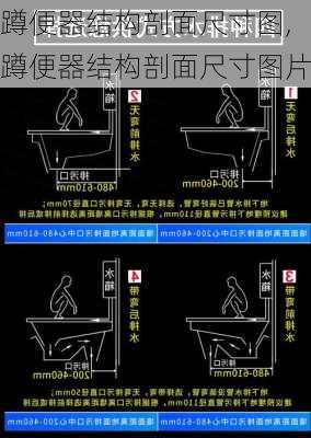 蹲便器结构剖面尺寸图,蹲便器结构剖面尺寸图片