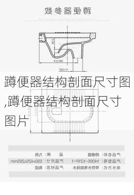 蹲便器结构剖面尺寸图,蹲便器结构剖面尺寸图片