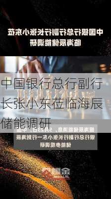 中国银行总行副行长张小东莅临海辰储能调研