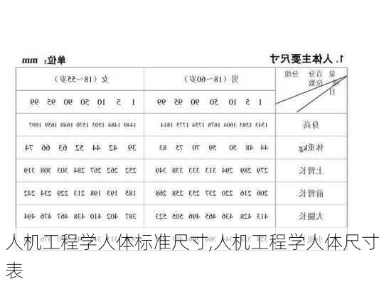 人机工程学人体标准尺寸,人机工程学人体尺寸表