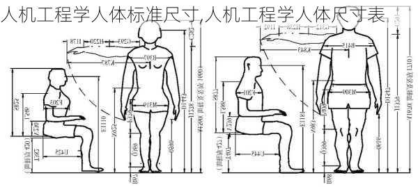 人机工程学人体标准尺寸,人机工程学人体尺寸表