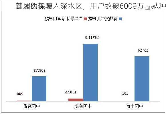 美团医美驶入深水区，用户数破6000万，从种
到履约保障