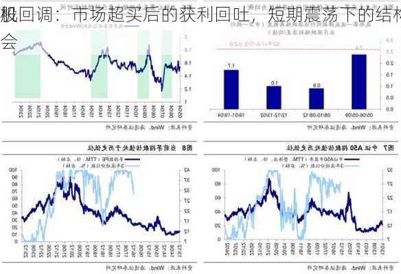 
股回调：市场超买后的获利回吐，短期震荡下的结构
机会