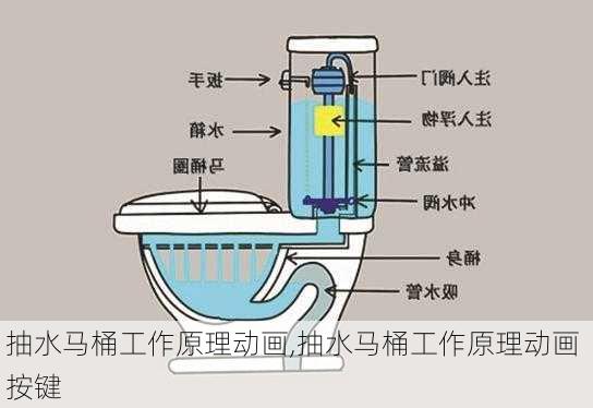 抽水马桶工作原理动画,抽水马桶工作原理动画 按键