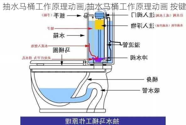 抽水马桶工作原理动画,抽水马桶工作原理动画 按键