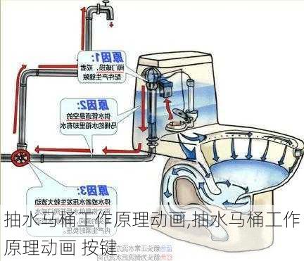 抽水马桶工作原理动画,抽水马桶工作原理动画 按键