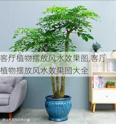 客厅植物摆放风水效果图,客厅植物摆放风水效果图大全