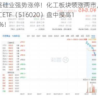 合盛硅业强势涨停！化工板块领涨两市，化工ETF（516020）盘中摸高1.57%！