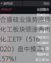 合盛硅业强势涨停！化工板块领涨两市，化工ETF（516020）盘中摸高1.57%！