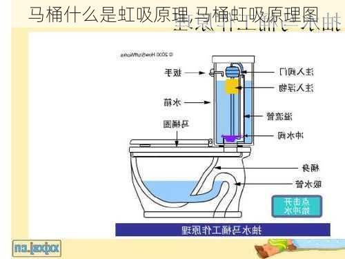 马桶什么是虹吸原理,马桶虹吸原理图