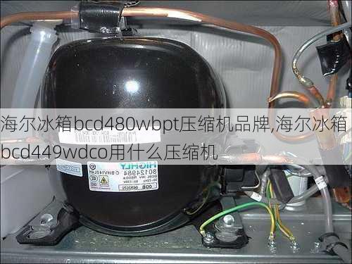 海尔冰箱bcd480wbpt压缩机品牌,海尔冰箱bcd449wdco用什么压缩机