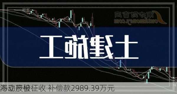 海立股份：
不动产被征收 补偿款2989.39万元