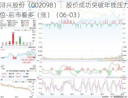 浔兴股份（002098）：股价成功突破年线压力位-后市看多（涨）（06-03）