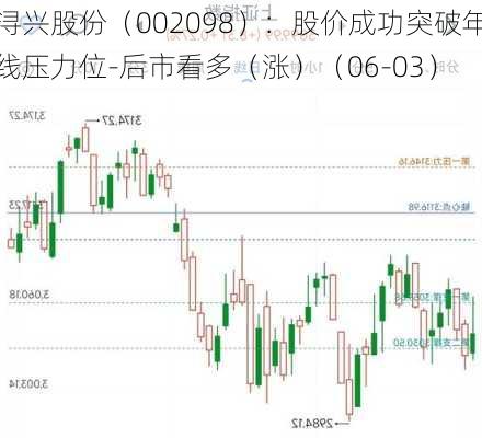 浔兴股份（002098）：股价成功突破年线压力位-后市看多（涨）（06-03）