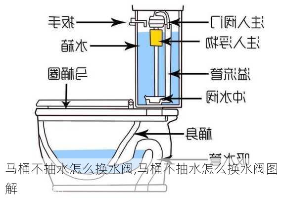 马桶不抽水怎么换水阀,马桶不抽水怎么换水阀图解