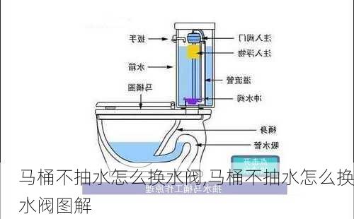 马桶不抽水怎么换水阀,马桶不抽水怎么换水阀图解