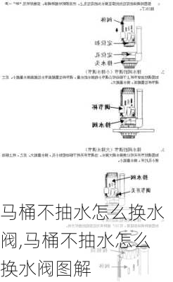 马桶不抽水怎么换水阀,马桶不抽水怎么换水阀图解