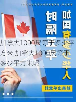 加拿大1000尺等于多少平方米,加拿大1000尺等于多少平方米呢