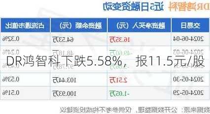 DR鸿智科下跌5.58%，报11.5元/股