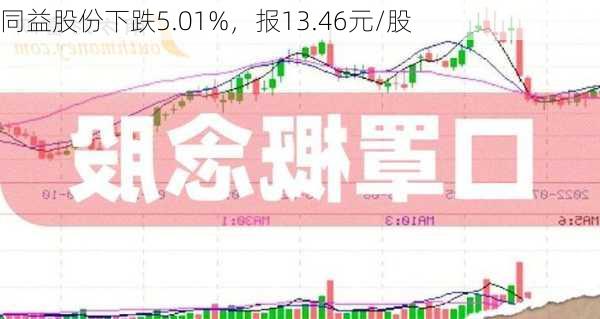 同益股份下跌5.01%，报13.46元/股