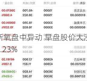 新氧盘中异动 早盘股价大涨5.23%