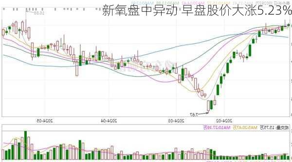 新氧盘中异动 早盘股价大涨5.23%