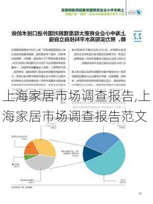 上海家居市场调查报告,上海家居市场调查报告范文