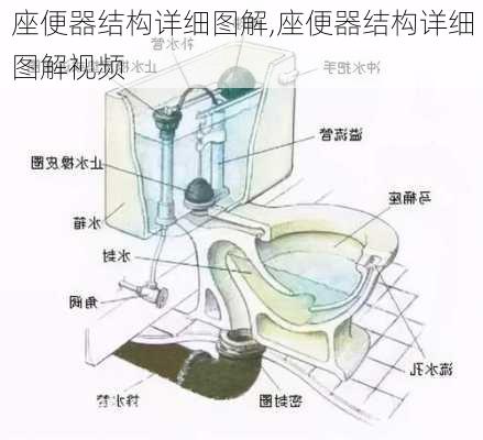 座便器结构详细图解,座便器结构详细图解视频