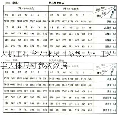 人机工程学人体尺寸参数,人机工程学人体尺寸参数数据