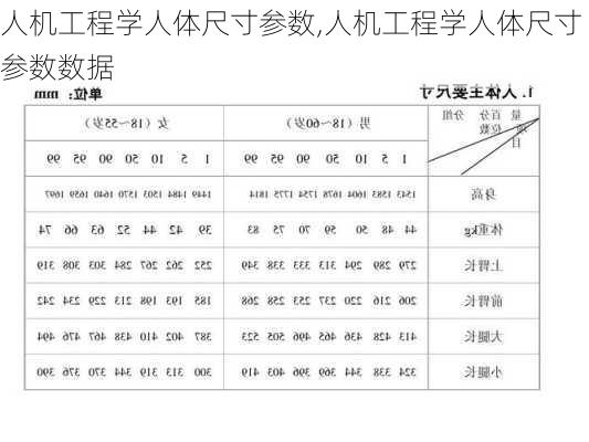 人机工程学人体尺寸参数,人机工程学人体尺寸参数数据