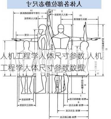 人机工程学人体尺寸参数,人机工程学人体尺寸参数数据