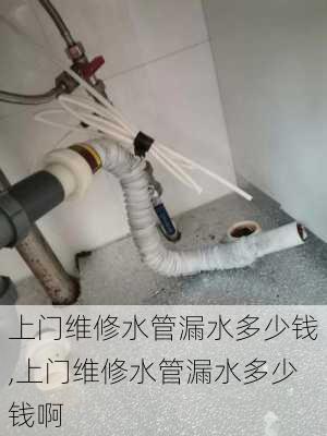 上门维修水管漏水多少钱,上门维修水管漏水多少钱啊