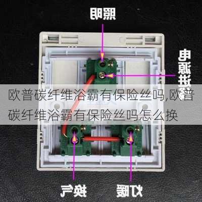 欧普碳纤维浴霸有保险丝吗,欧普碳纤维浴霸有保险丝吗怎么换