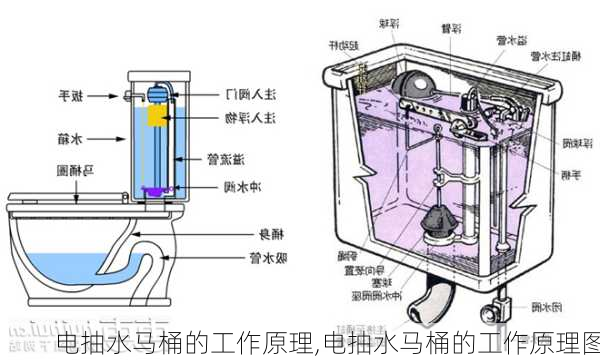 电抽水马桶的工作原理,电抽水马桶的工作原理图