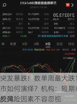 突发暴跌！数单周最大跌15%，后市如何演绎？机构：短期或存在技术
反弹 
的风险因素不容忽视