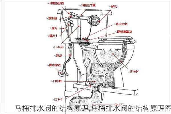 马桶排水阀的结构原理,马桶排水阀的结构原理图