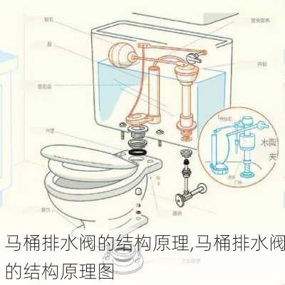 马桶排水阀的结构原理,马桶排水阀的结构原理图